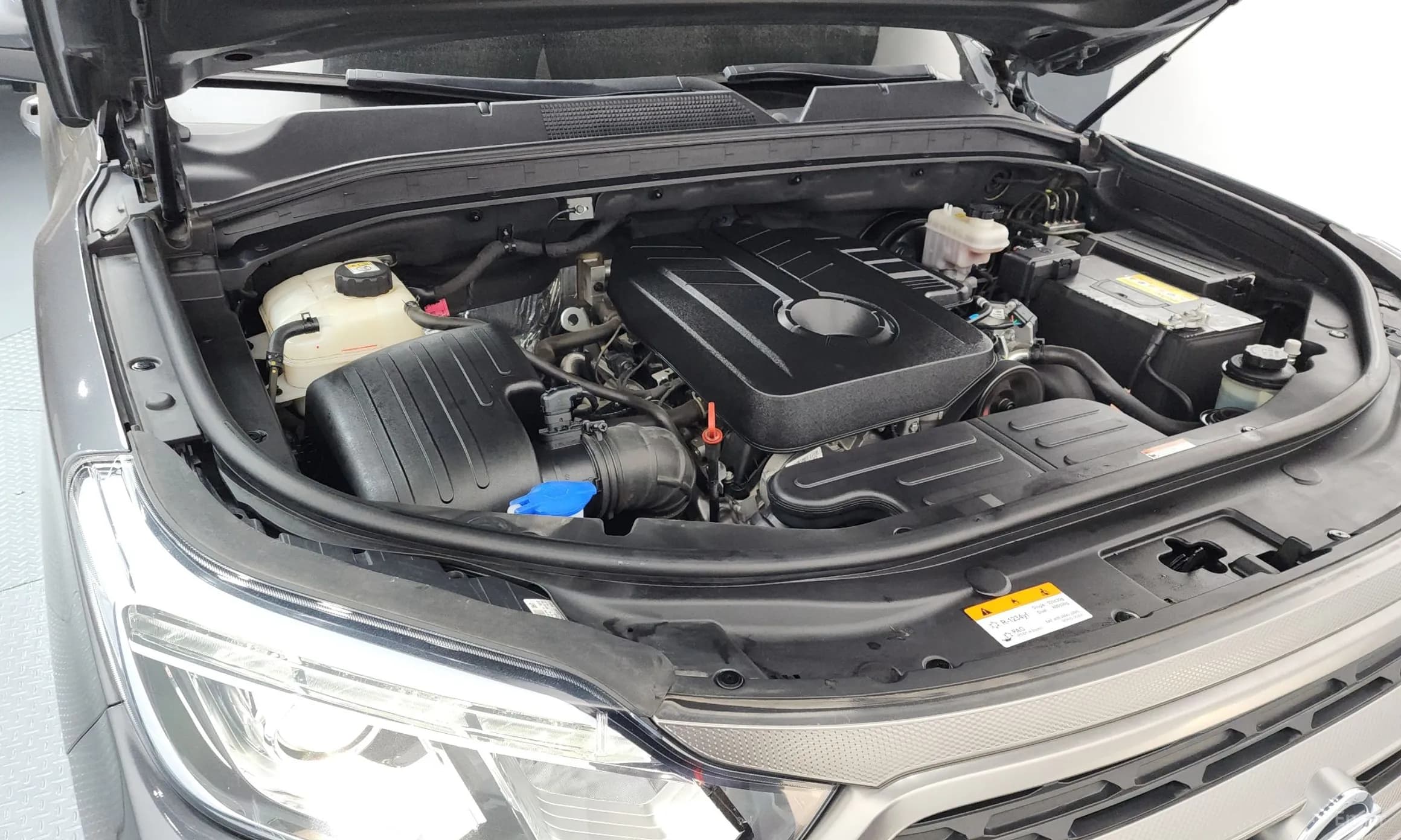 Rexton Sports