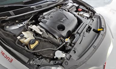 Maxima (A36)