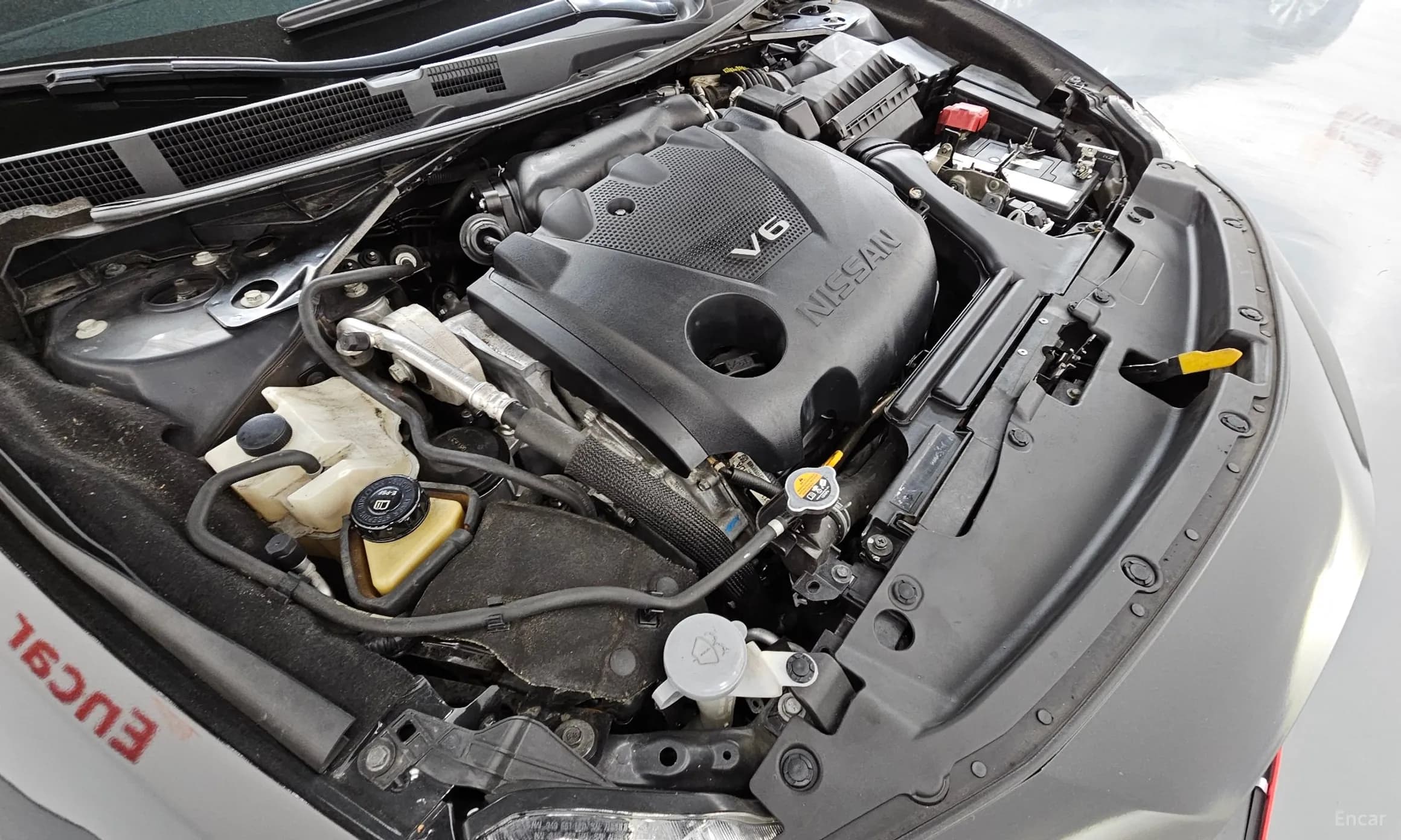 Maxima (A36)