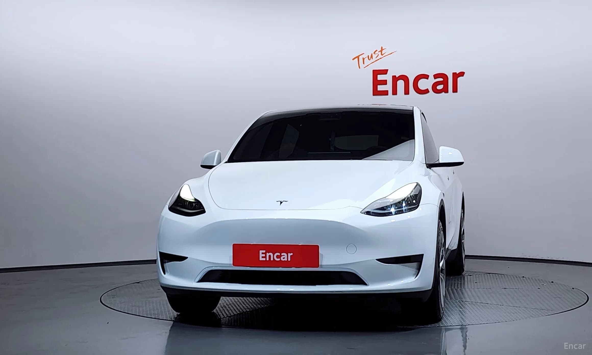 Model Y