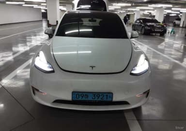 Model Y
