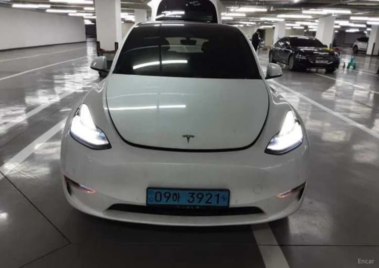 Model Y