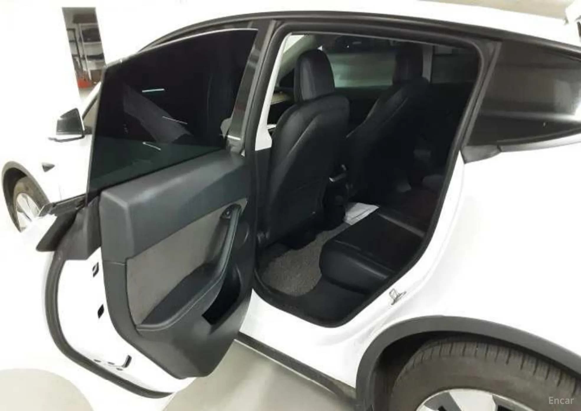 Model Y