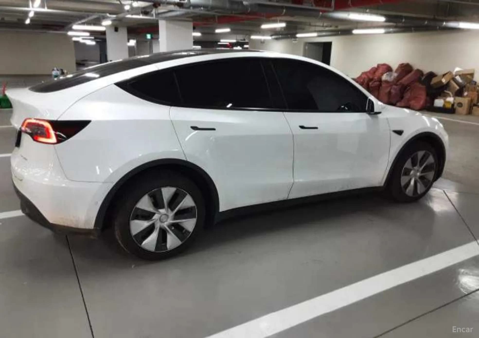 Model Y