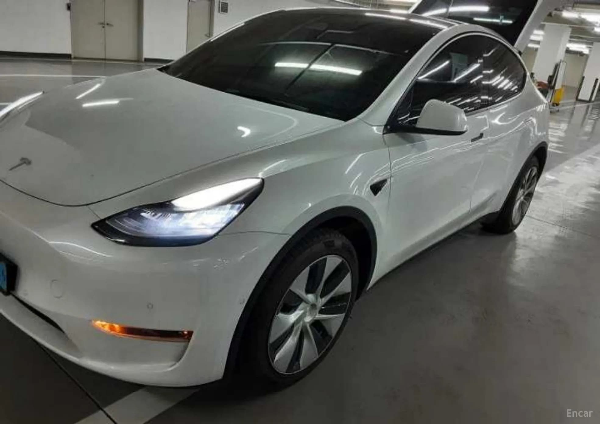 Model Y