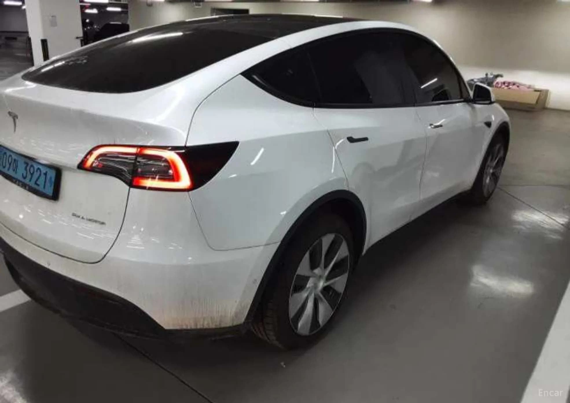 Model Y