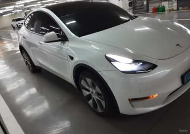 Model Y