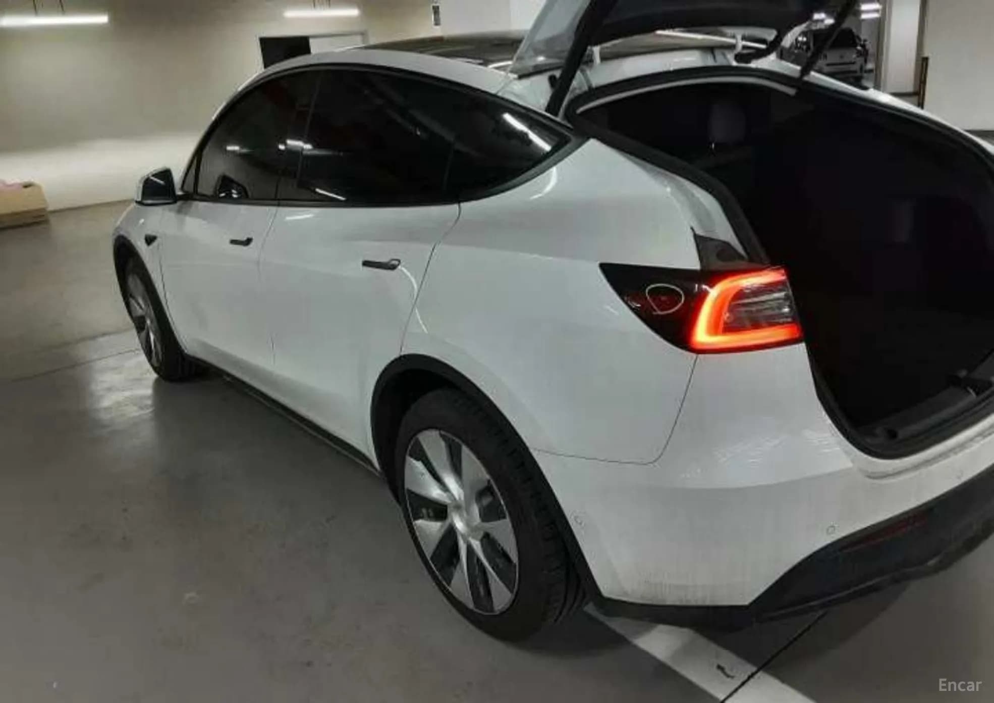 Model Y
