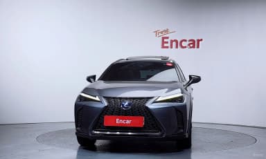 UX250h