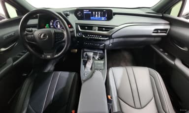 UX250h