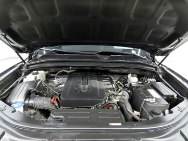 Rexton Sports