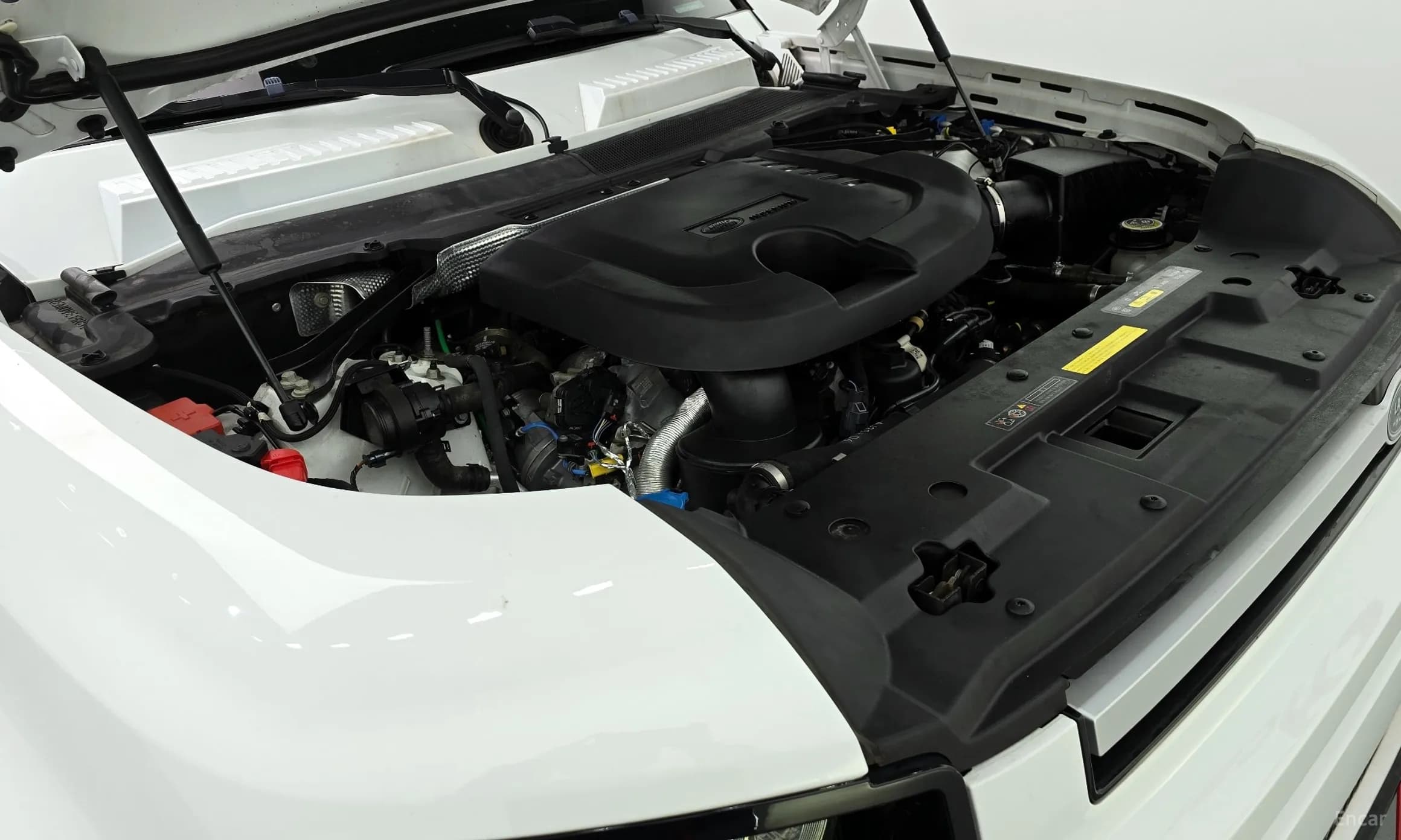 Defender (L663)