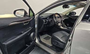 NX300h