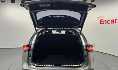 NX300h
