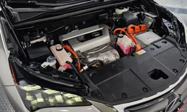 NX300h