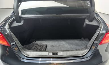 Maxima (A36)
