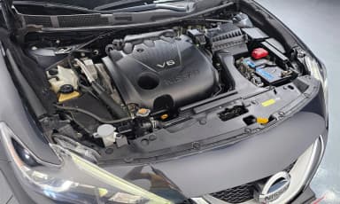 Maxima (A36)