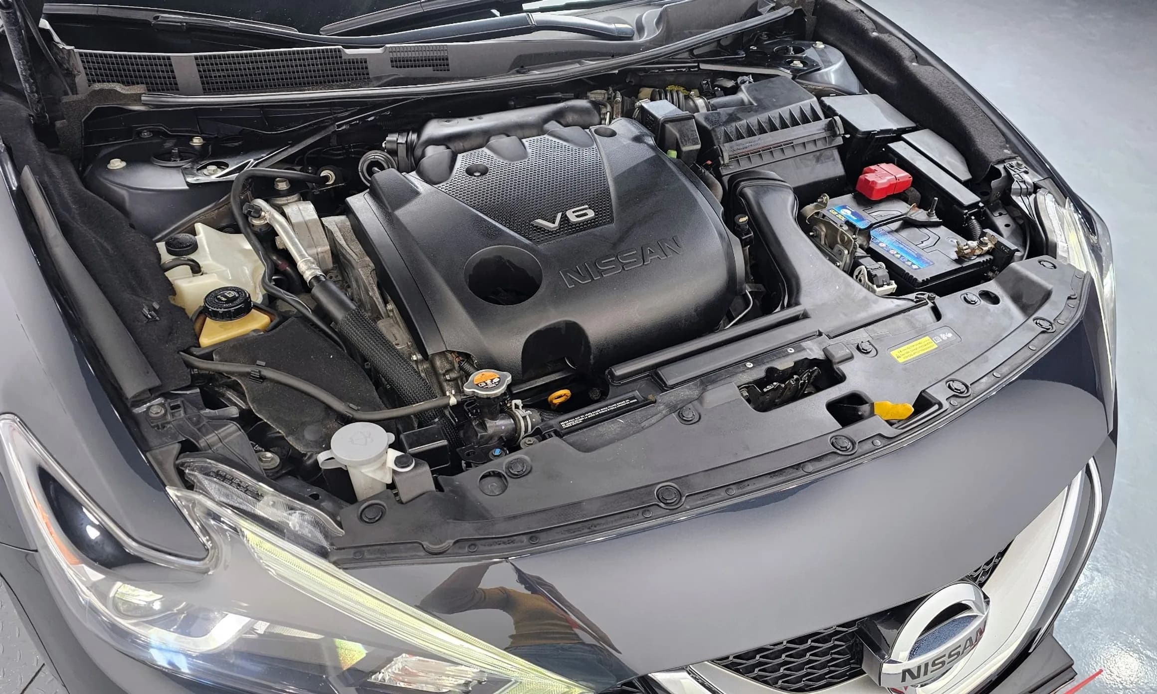Maxima (A36)