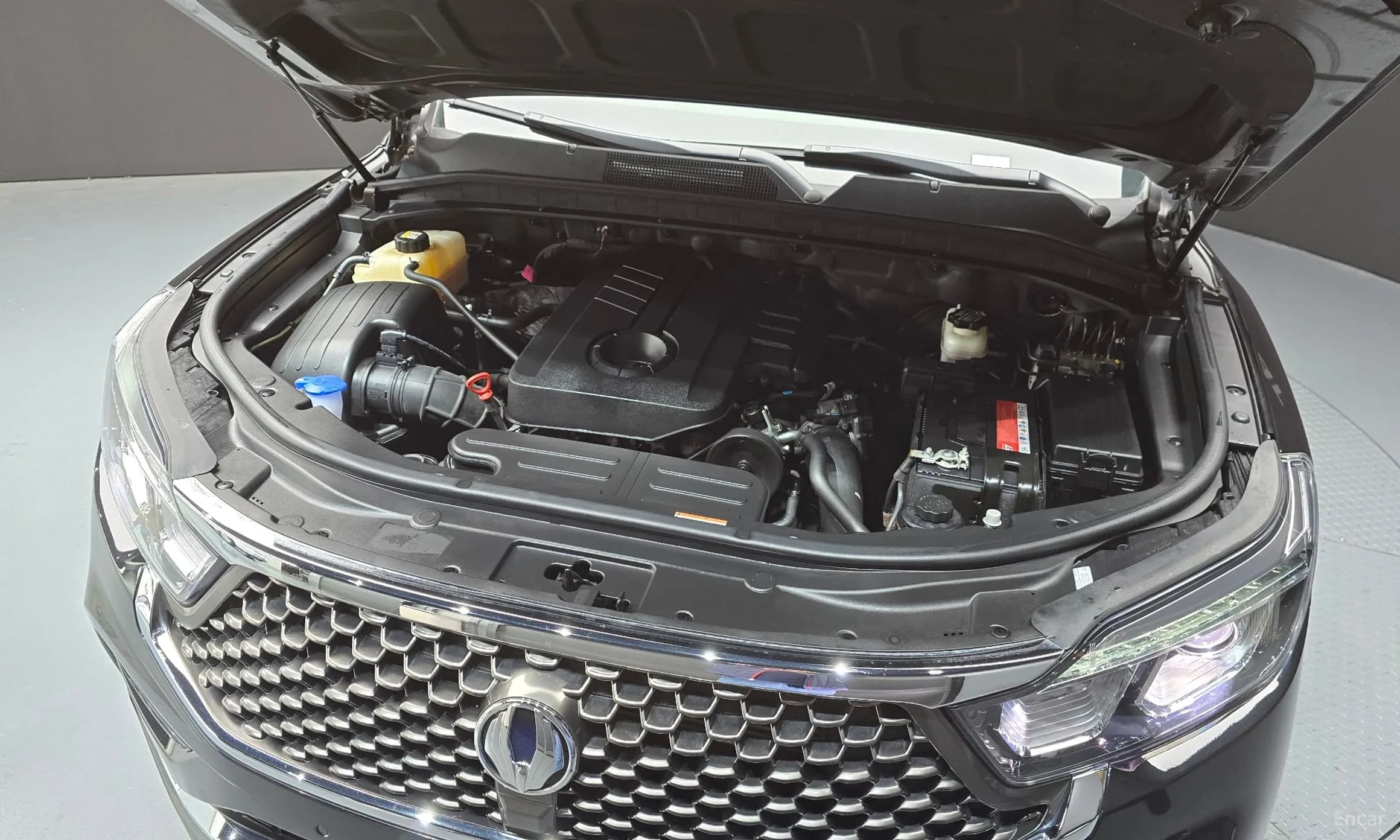 G4 Rexton
