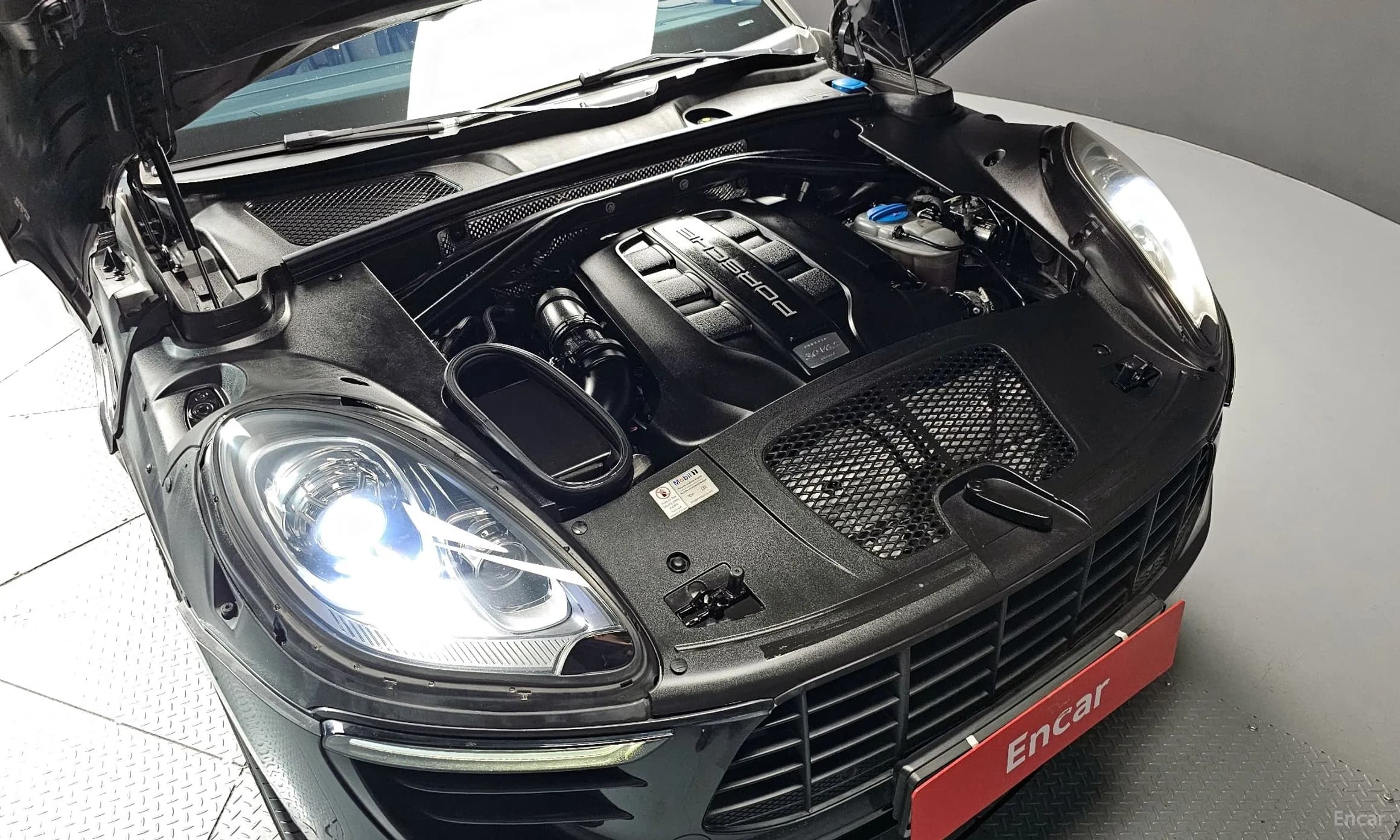 Macan