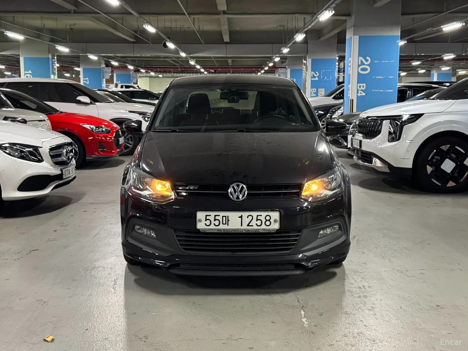 Polo