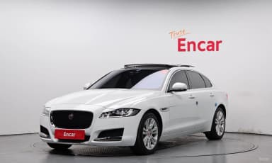 XF (x260)