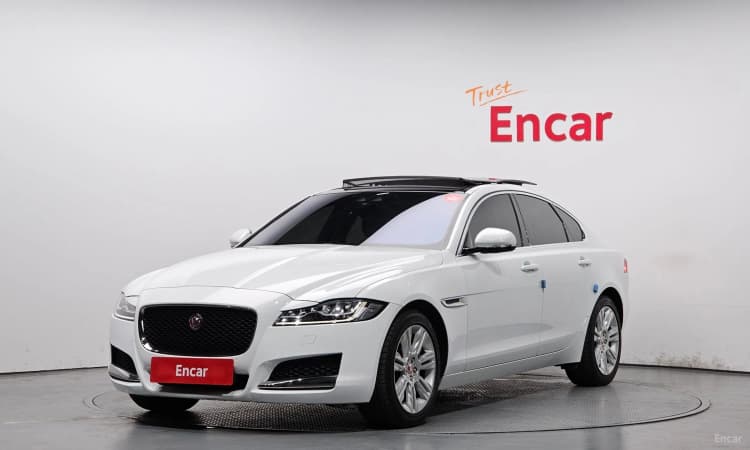 XF (x260)
