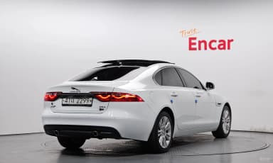 XF (x260)