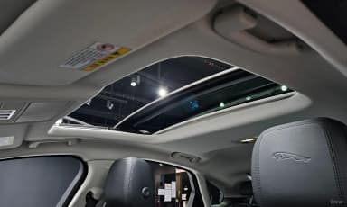 XF (x260)