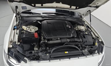XF (x260)