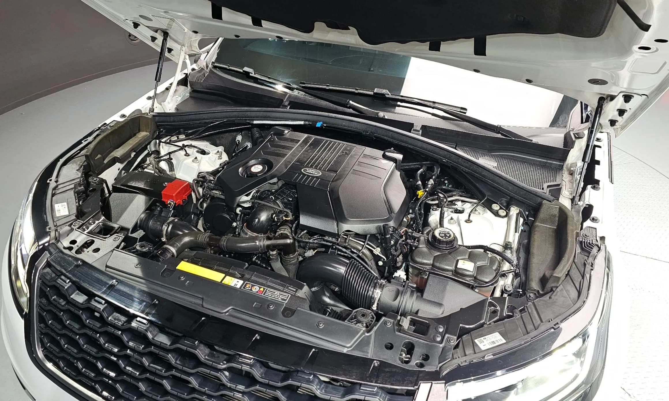 Range Rover Bella