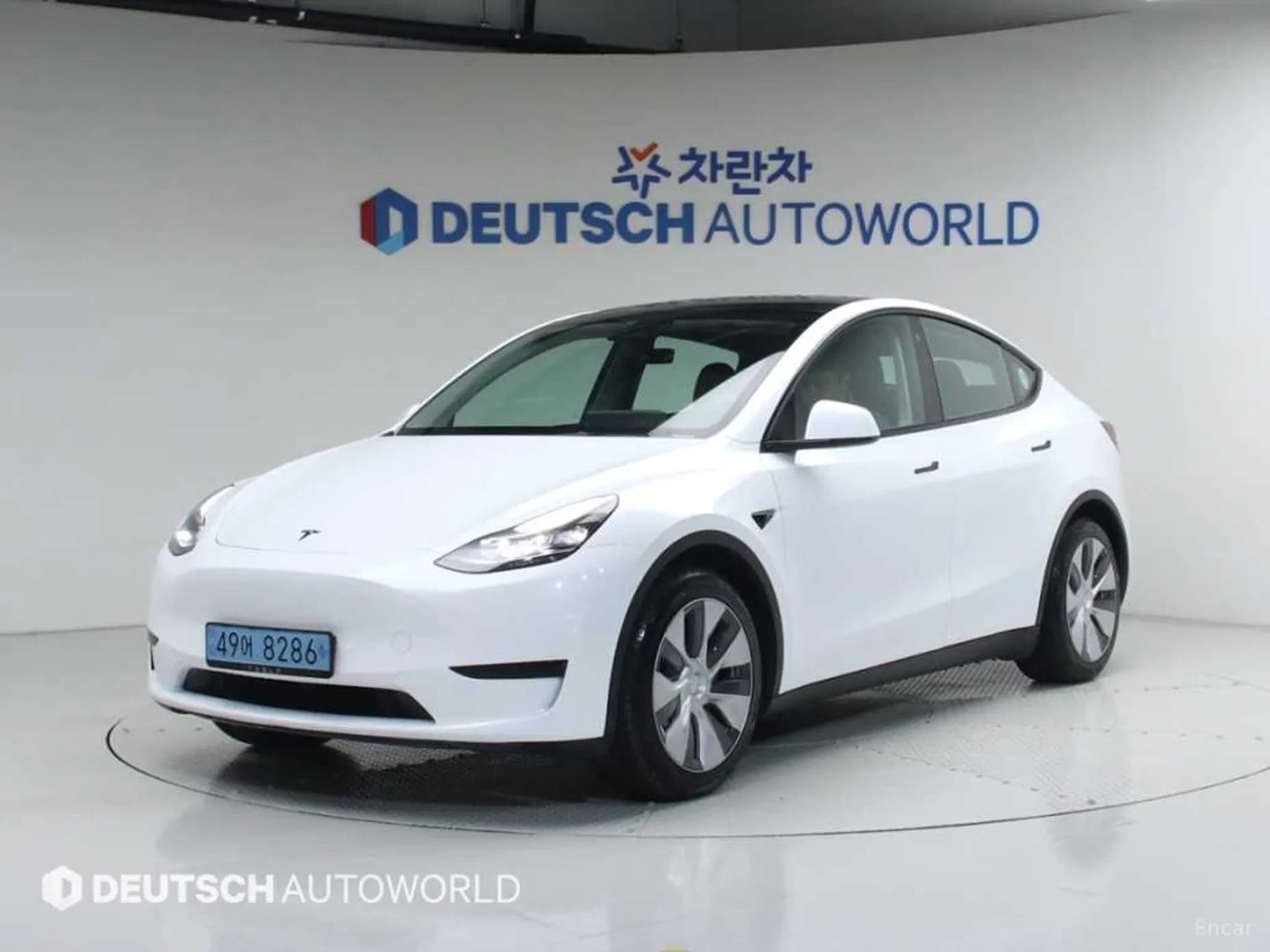 Model Y