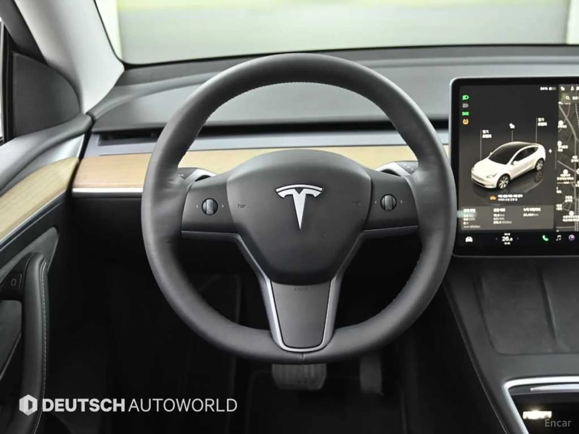 Model Y