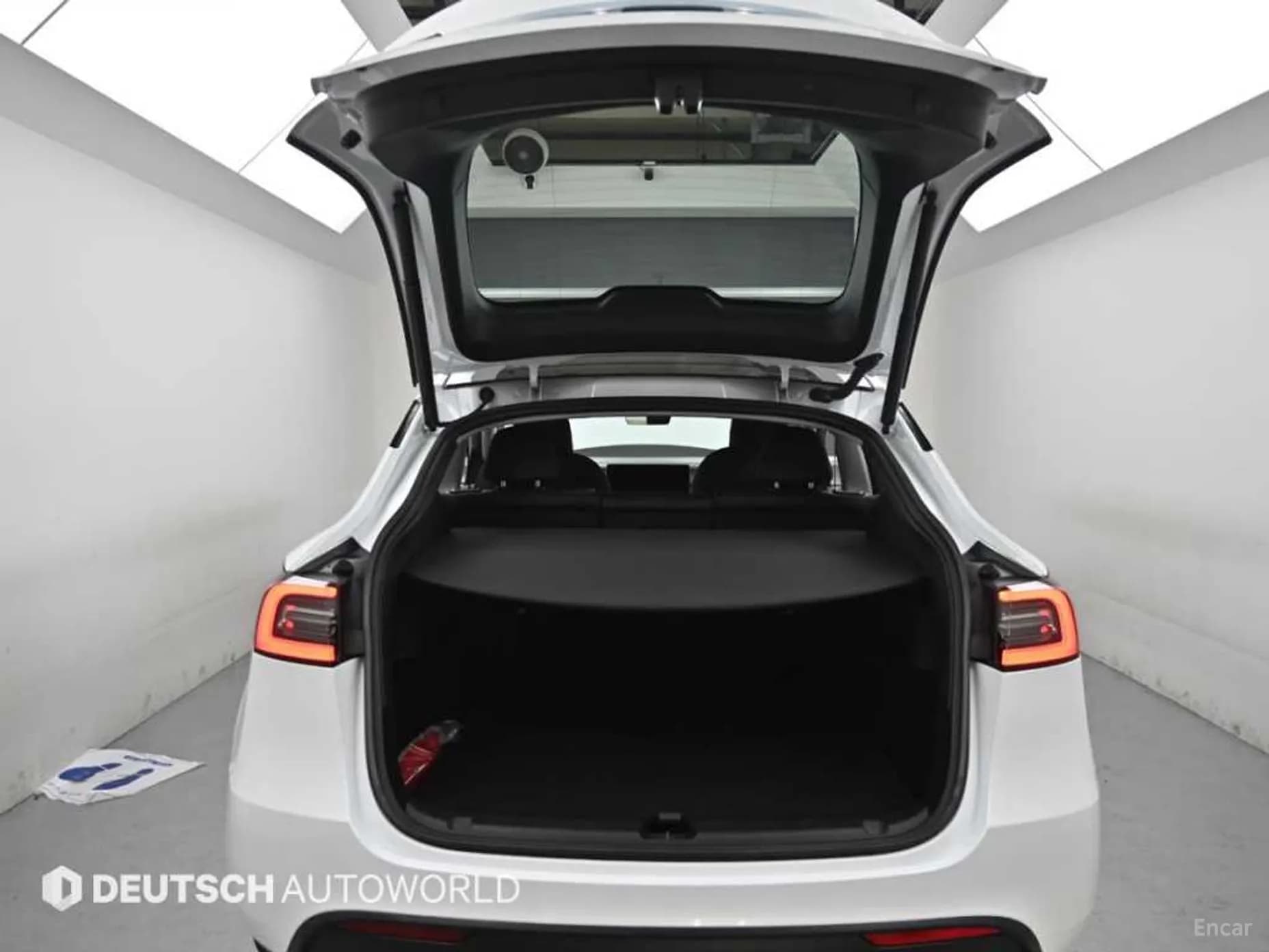 Model Y