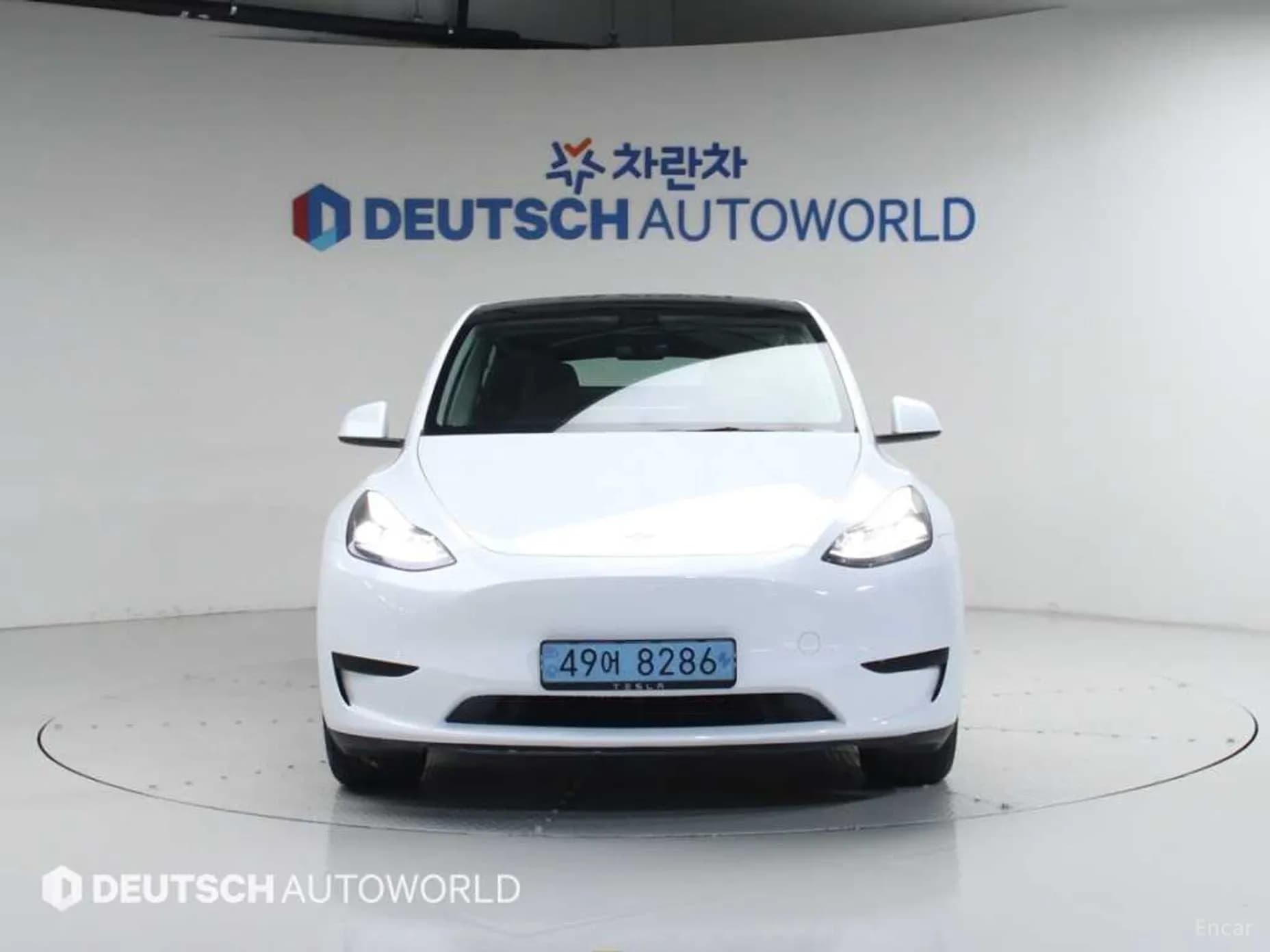 Model Y