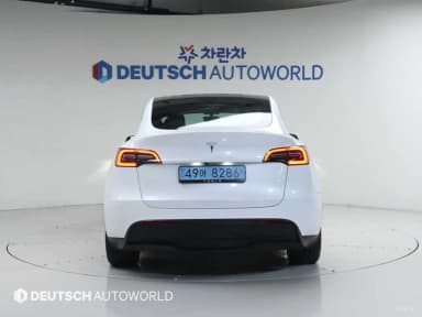 Model Y
