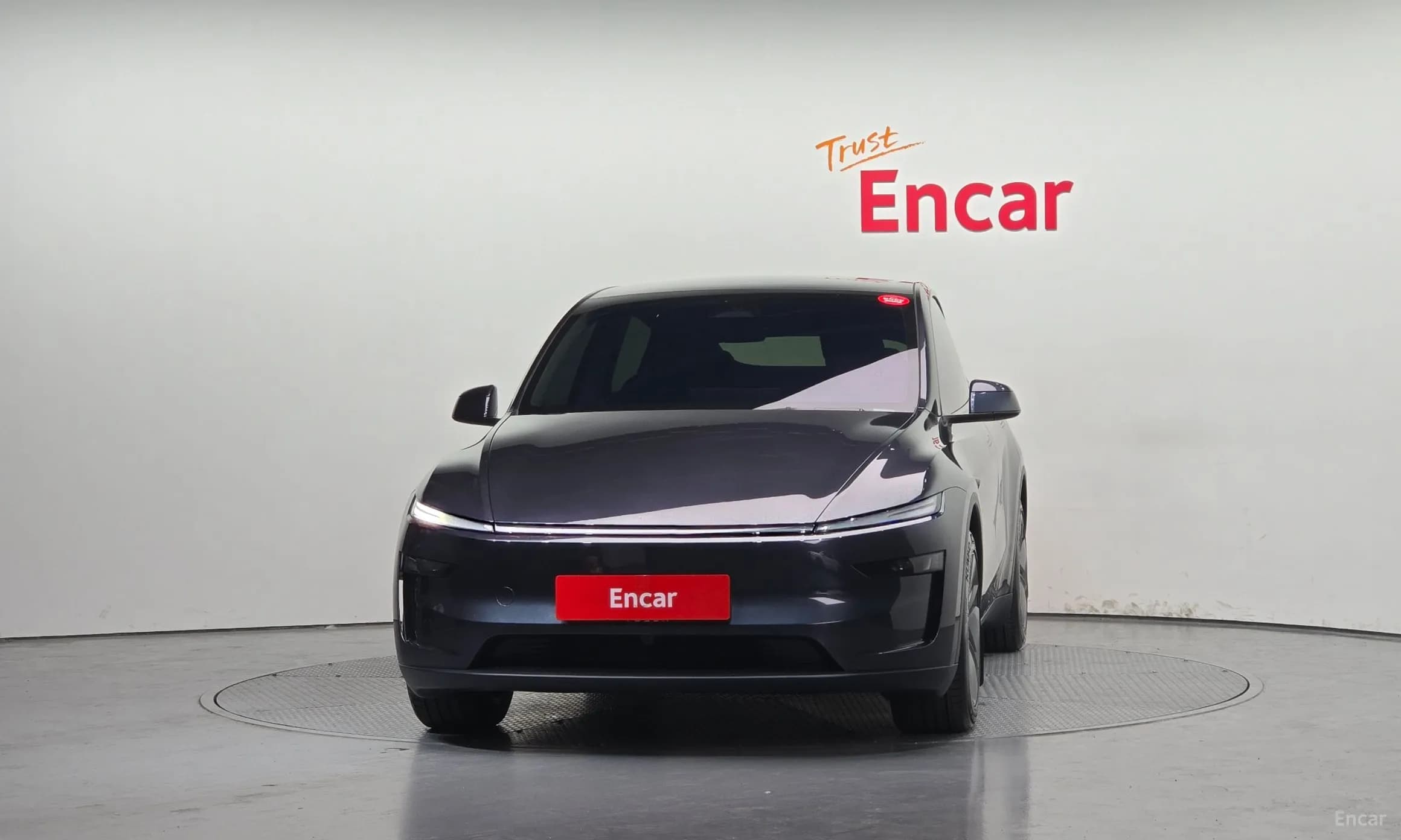 Model Y
