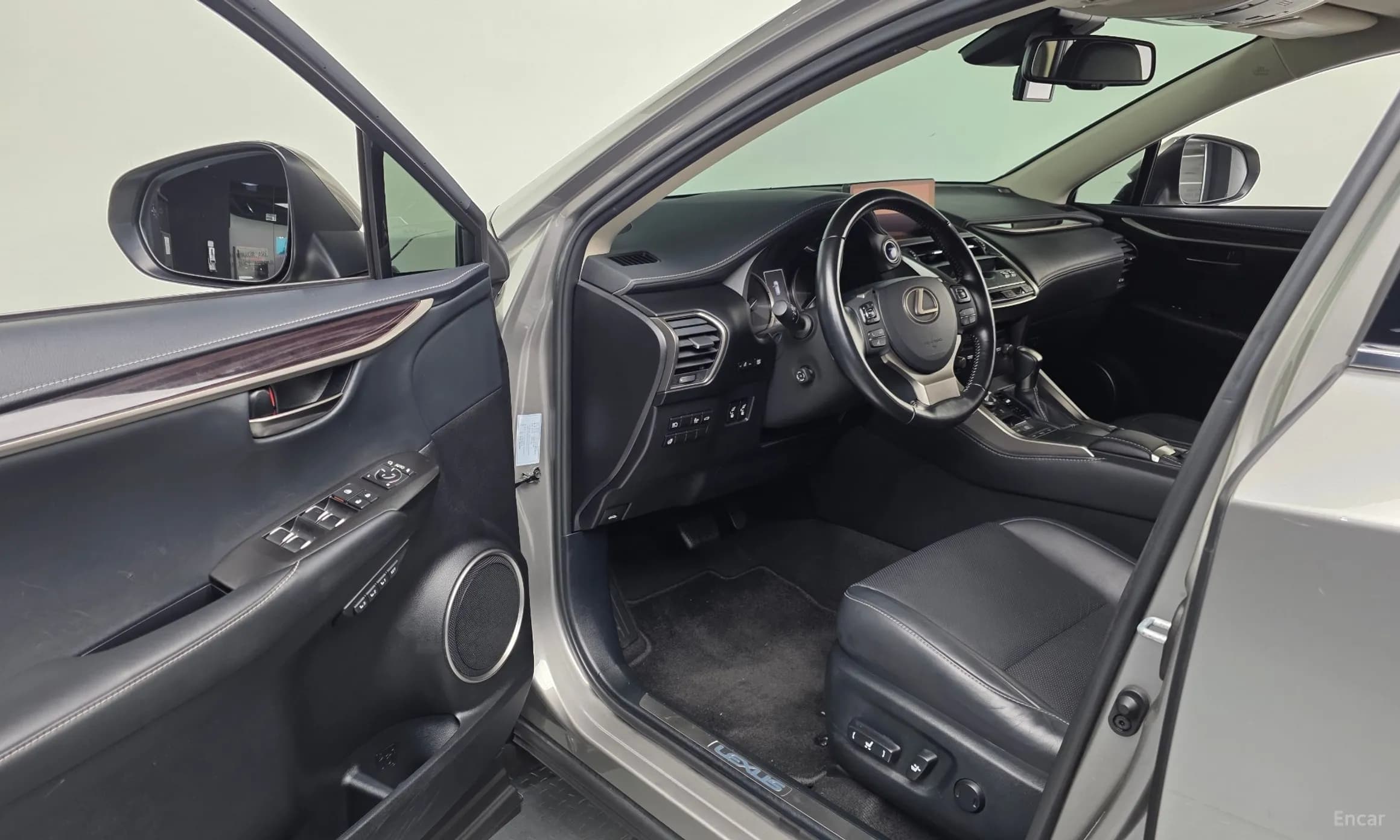 NX300h