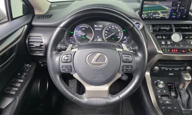 NX300h