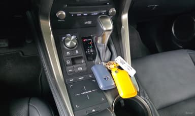 NX300h