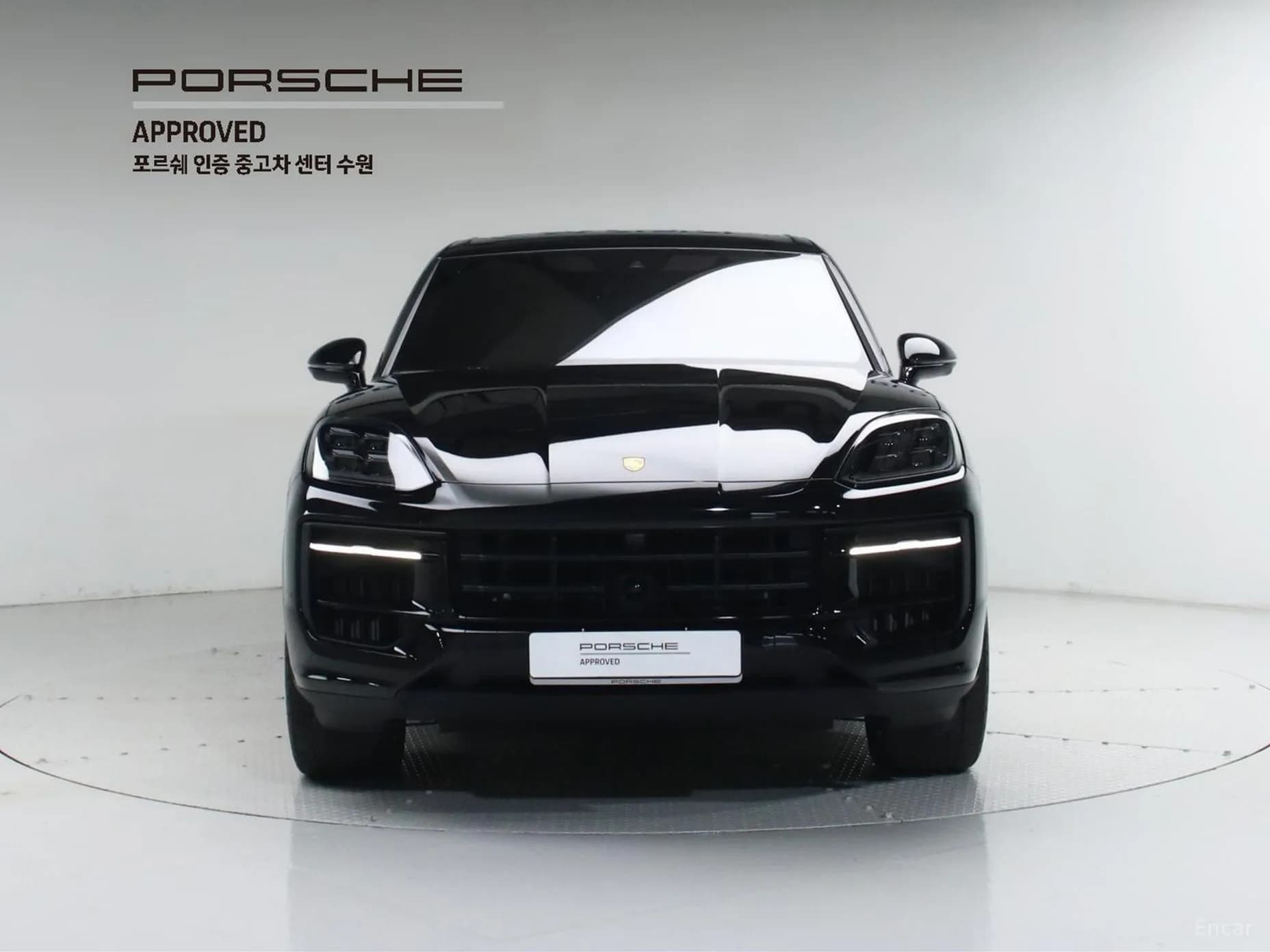 Cayenne (PO536)