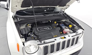 Renegade