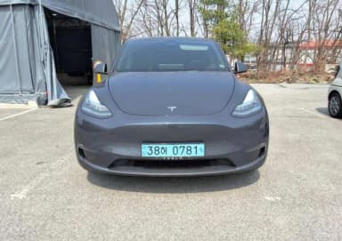 Model Y