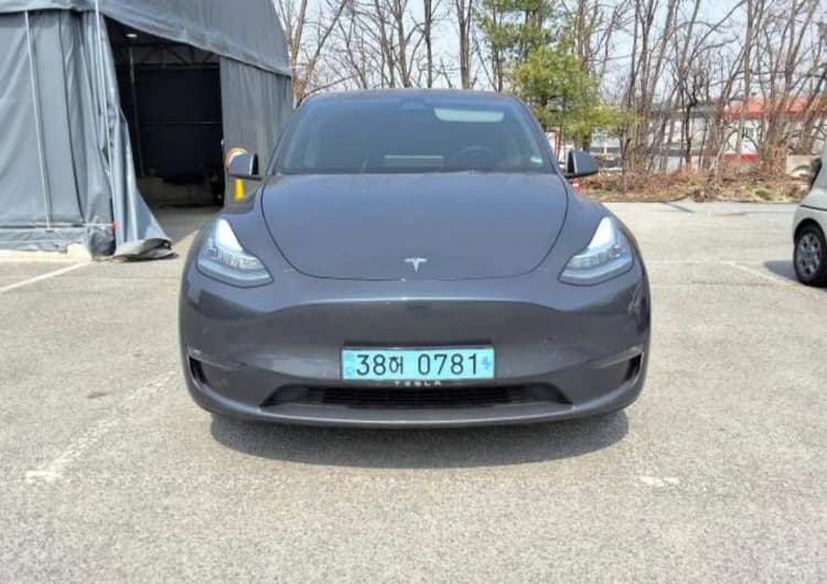 Model Y