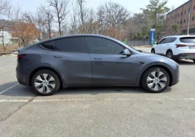 Model Y