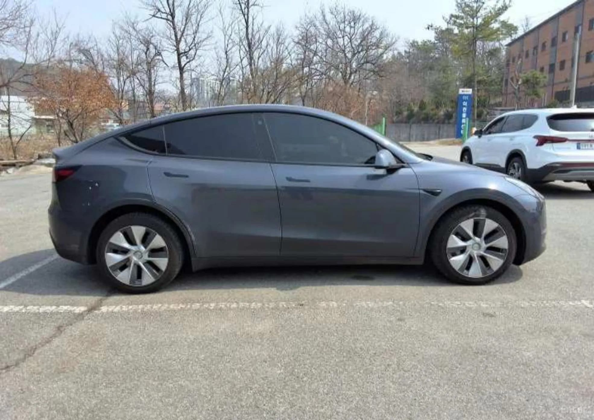 Model Y