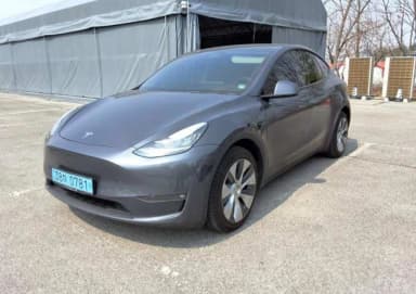 Model Y