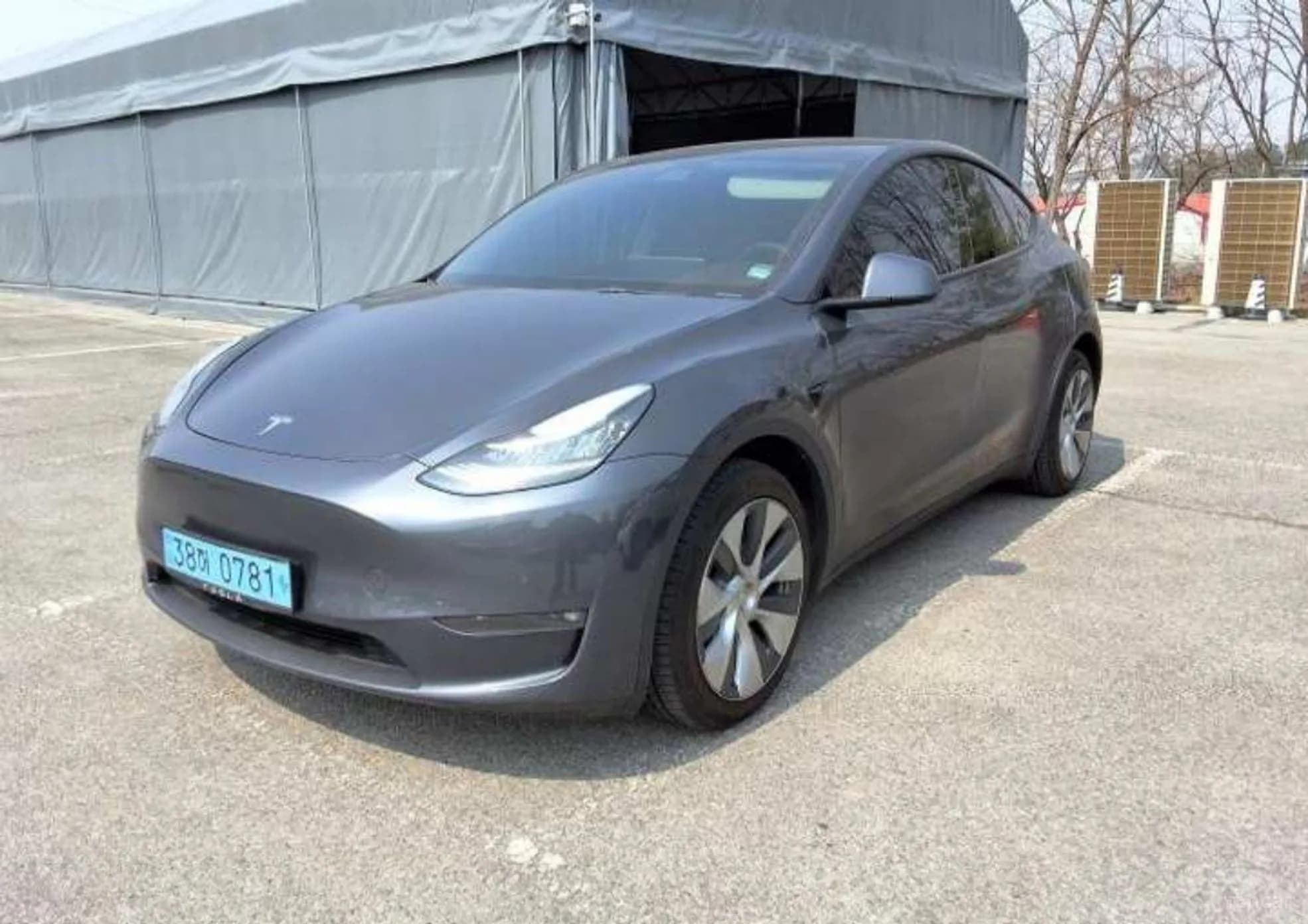 Model Y