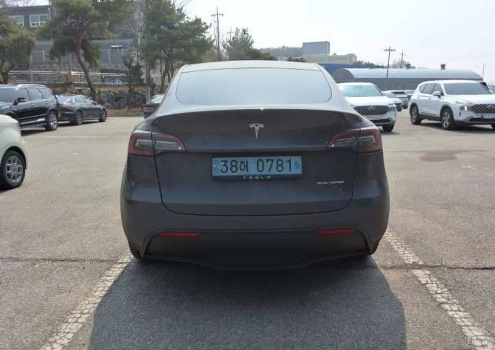 Model Y