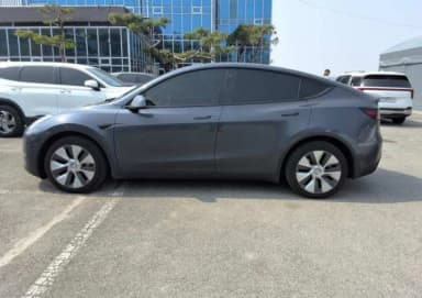 Model Y
